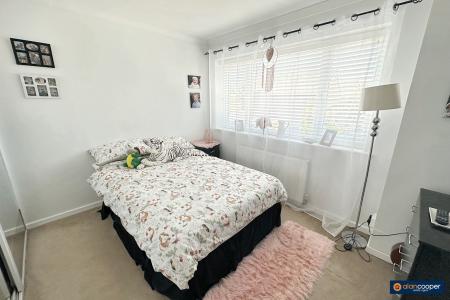 Media image 13