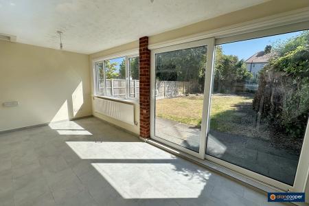 Media image 05