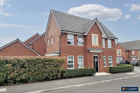 Media image 17