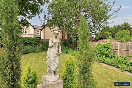 Media image 25