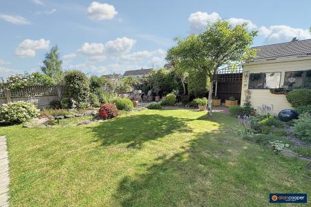 Media image 22