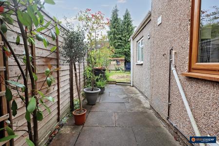 Media image 15