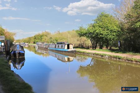 Media image 17