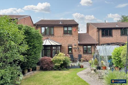 Media image 17