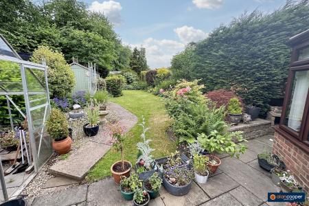 Media image 13