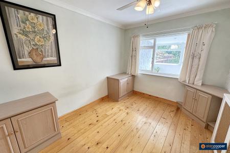 Media image 10