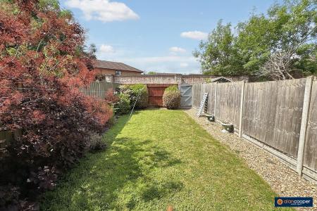Media image 12