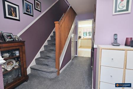 Media image 15