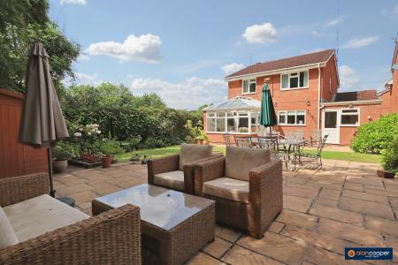 Media image 30