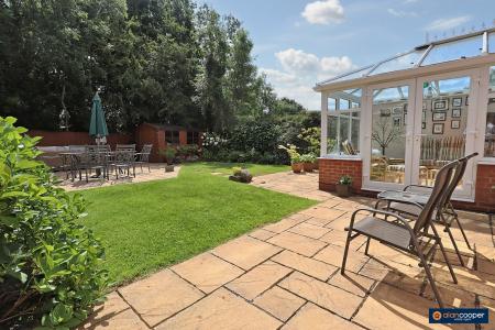Media image 27