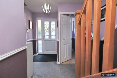 Media image 14