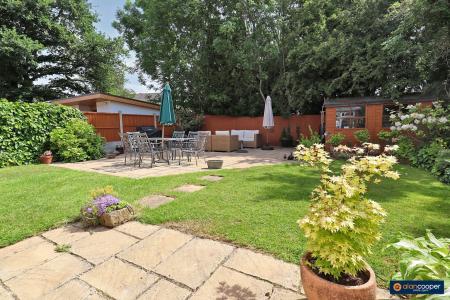 Media image 29