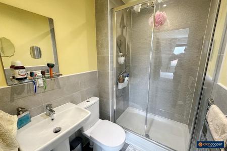 Media image 15