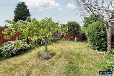 Media image 24