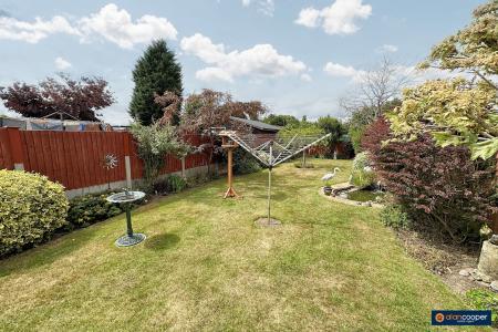 Media image 22