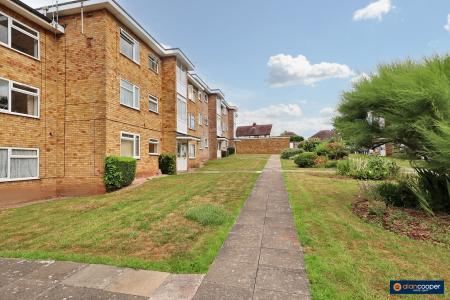 Media image 15