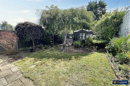 Media image 12