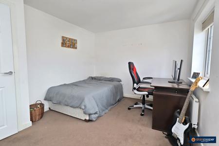 Media image 11