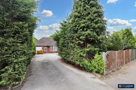 Media image 39