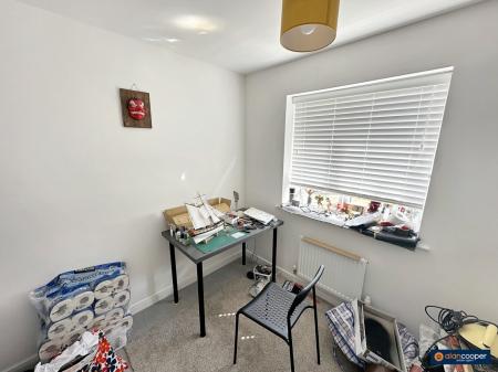 Media image 10