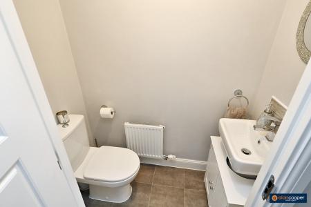 Media image 10