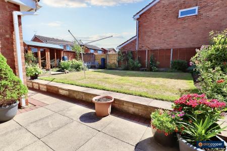 Media image 28