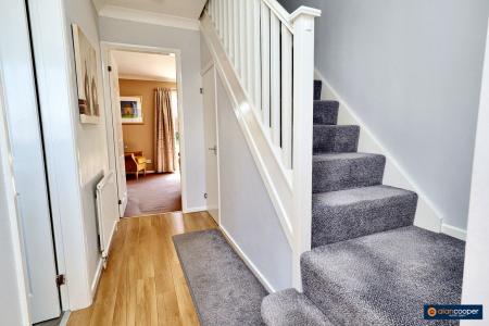 Media image 17