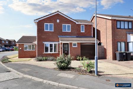 Media image 32