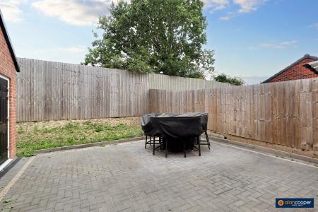Media image 21
