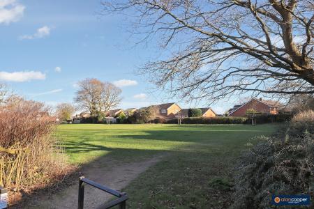 Media image 35