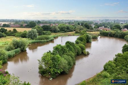 Media image 37