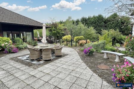 Media image 14