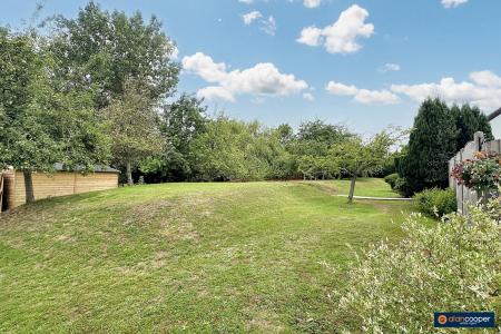 Media image 16