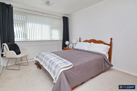 Media image 13