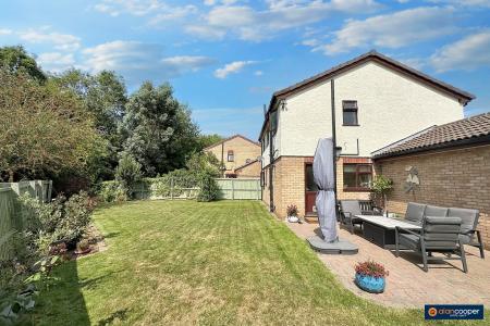 Media image 24