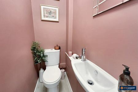 Media image 13