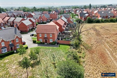 Media image 23
