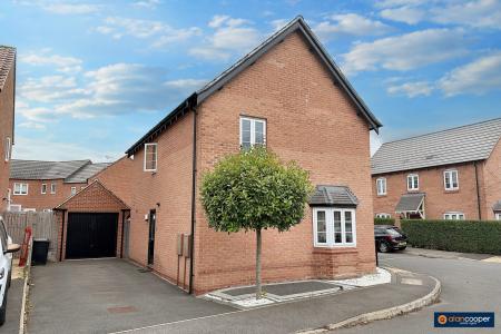 Media image 17