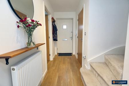 Media image 20