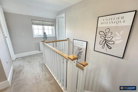 Media image 12