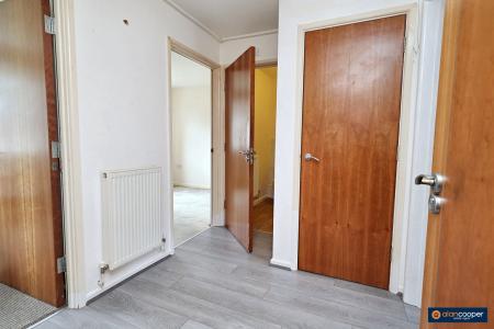 Media image 06