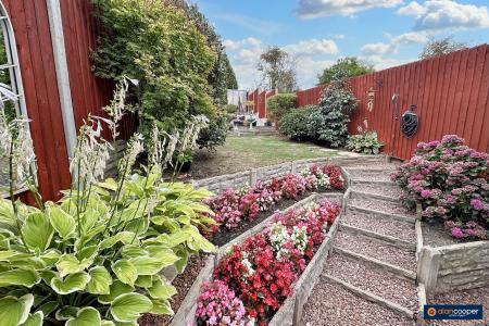 Media image 26