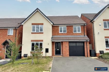 Media image 17