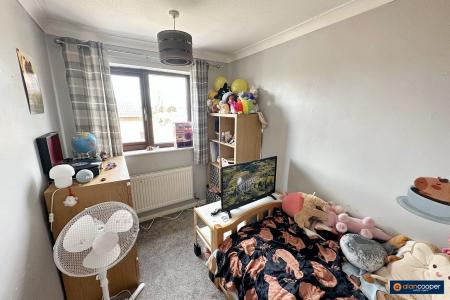 Media image 15