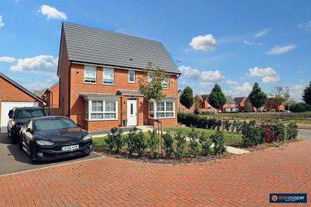 Media image 31
