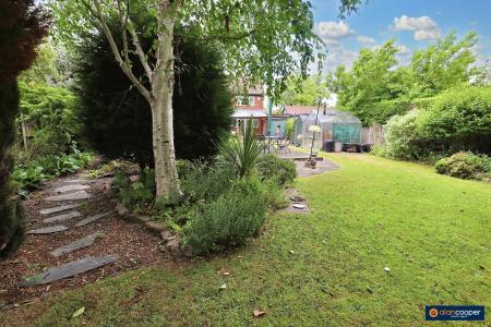 Media image 25