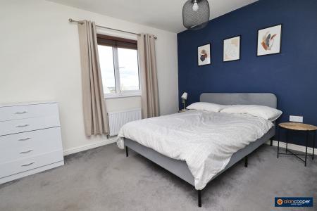 Media image 15