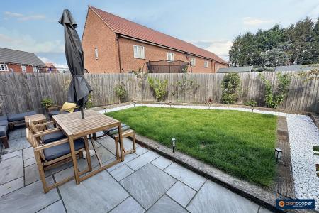 Media image 14