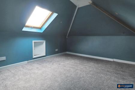 Media image 15
