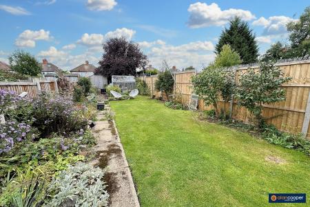 Media image 17